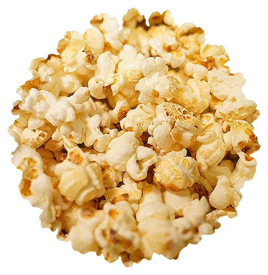 Salt and Vinegar gourmet popcorn in a resealable gourmet tub from Best Darn Kettlecorn
